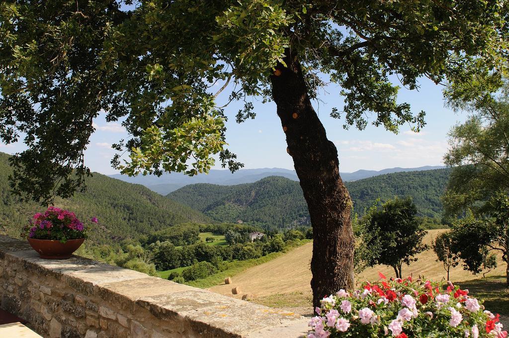 Locanda Del Viandante B&B 앙기아리 외부 사진