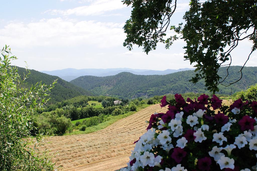 Locanda Del Viandante B&B 앙기아리 외부 사진