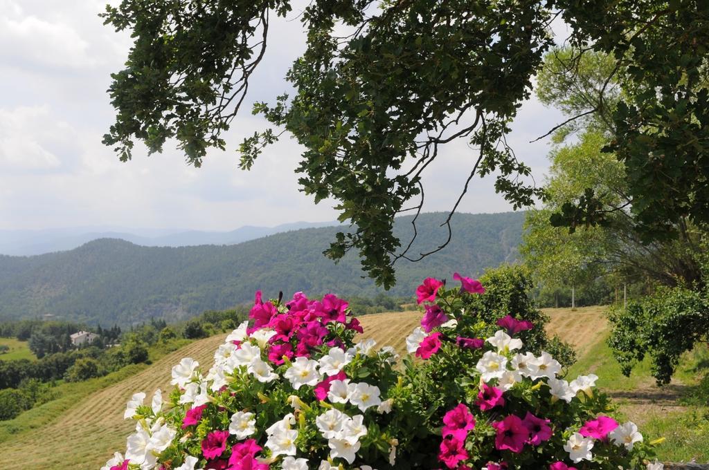 Locanda Del Viandante B&B 앙기아리 외부 사진